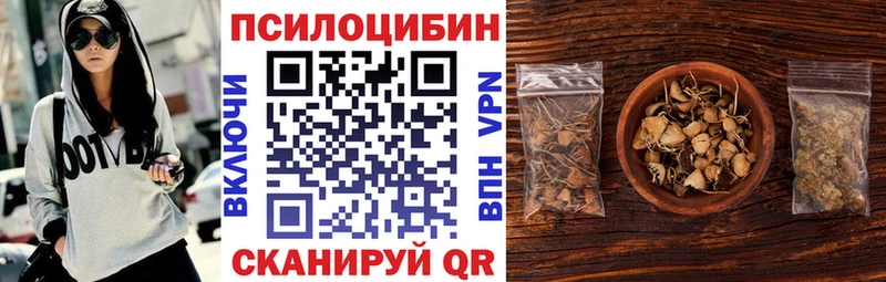 Псилоцибиновые грибы ЛСД  Купить закладки  Алдан 